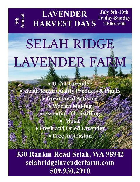 Lavender Harvest Days at Selah Ridge Lavender Farm July 8th-10th 2016
