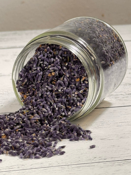 Culinary Lavender Royal Velvet