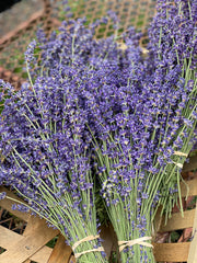 Fresh Lavender Bouquet  *check on current availability